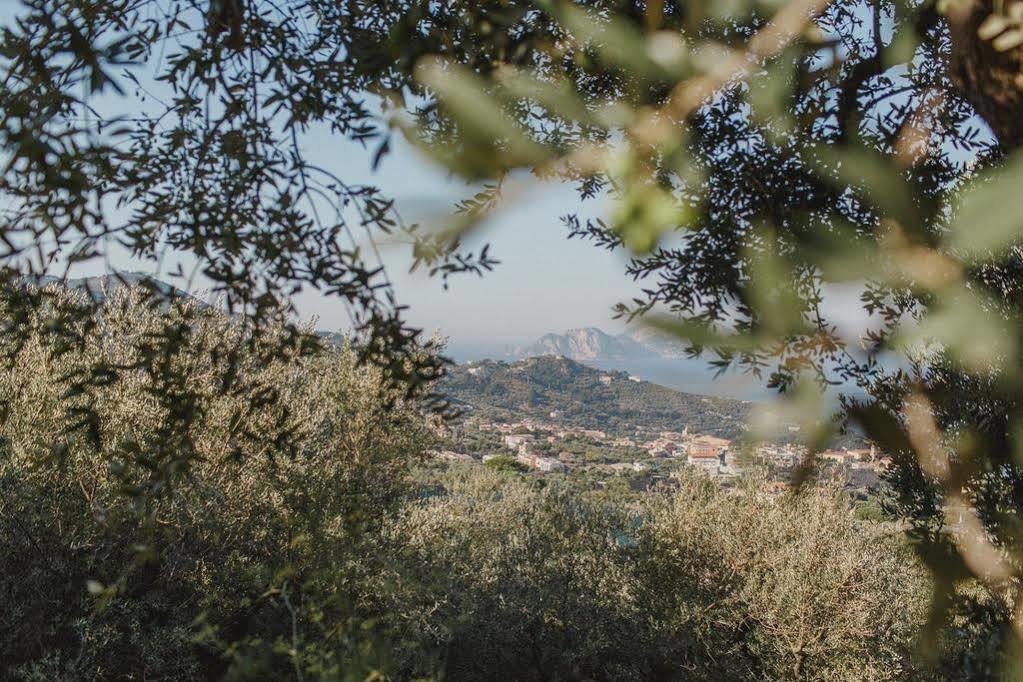 Villa Eliana Sorrento Buitenkant foto
